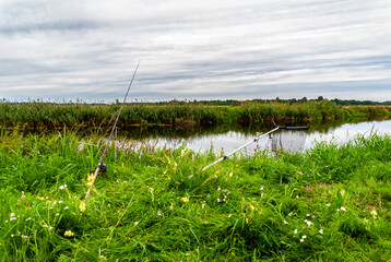 Lato w Dolinie Narwi, Podlasie, Polska © podlaski49