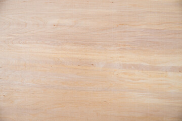 Close-up texture of natural birch veneer.