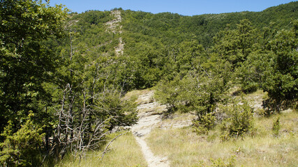 Panorama dal sentiero 390bis da villa di parchiule a Poggio dell'Appione in Italia