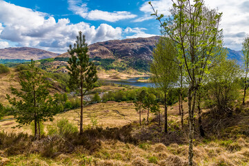 A view through trees towards Loch Shiel at Glenfinnan, Scotland on a summers day