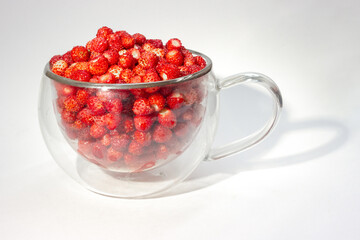 Full glass cup of ripe wild strawberry isolated on light background.