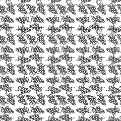 Seamless grape vector pattern. Doodle vector with grapes icons on white background. Vintage grapes pattern, sweet elements background for your project, menu, cafe shop.	