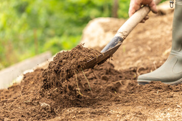 Fototapeta premium Close-up of mold on a spade