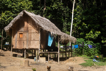 Fototapeta na wymiar Batek natives traditional home. Batek are the indigenous people in Taman Negara National Park.