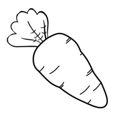 illustration of an carrot