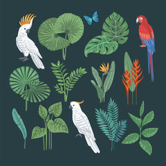 Vector tropical collection
