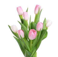 Fototapeta premium Beautiful bouquet of tulips isolated on white