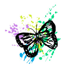 Vector hand drawn illustration with exotic, wild butterfly on colorful background of splashing drops. The concept tropical flying insects with beautiful wings, nature, romance.