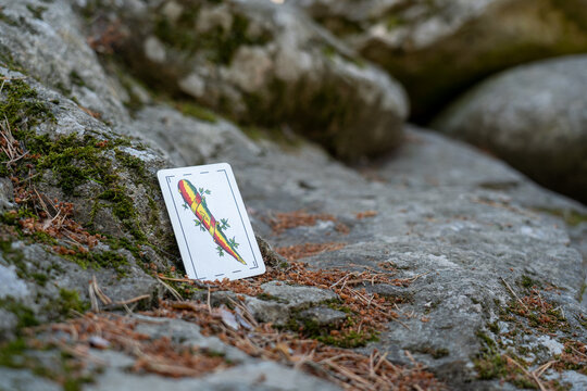 carte de juego del as de bastos encima de una roca en la monta&ntilde;a