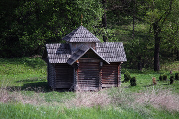 old wooden hut in a clearing