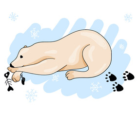 Vector colored ice bear illustration