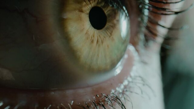 Person with amazing colorful brown green eye iris in studio