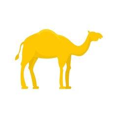 Egypt camel icon flat isolated vector