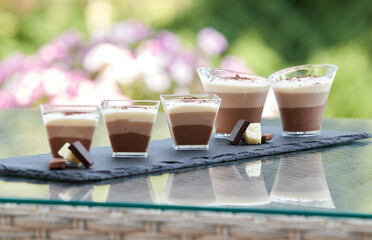 Chocolate mousse dessert in a cup on blurred background of summer plants