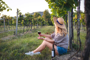 Woman drinking red wine. Female vintner sitting in vineyard and relaxing after grape harvesting...