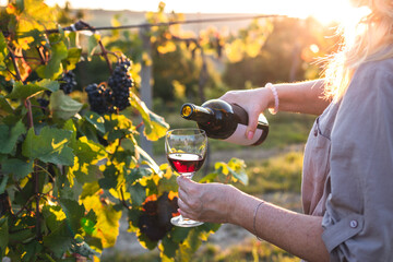 Woman pouring red wine into drinking glass at vineyard. Sommelier tasting wine outdoors during sunset - obrazy, fototapety, plakaty