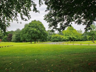 Park live
