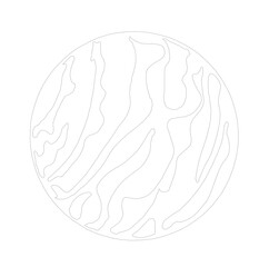 ガス惑星の模様