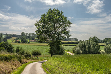 Fototapeta premium Campagne Monts des Flandres
