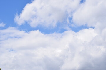 Straight Line Of Blue