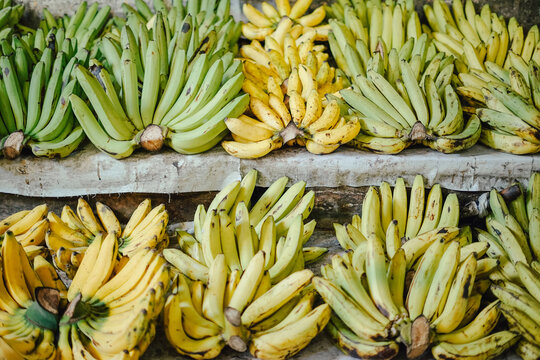 Various types of bananas are sold in traditional markets