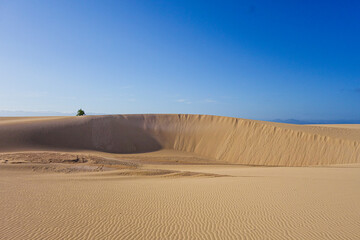 sand dunes in the desert