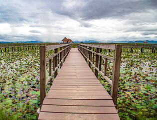 Fototapeta premium Sam Roi Yot Freshwater Marsh, Walk over the marsh, Bueng Bua Wood Boardwalk in Sam Roi Yot national park in Prachuap Khiri Khan, Thailand
