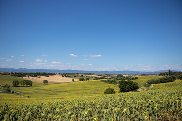 Fototapeta na wymiar Fantastic view of the countryside of Umbria, Italy.