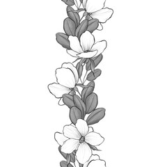 Border of flowers. Black and white seamless floral pattern