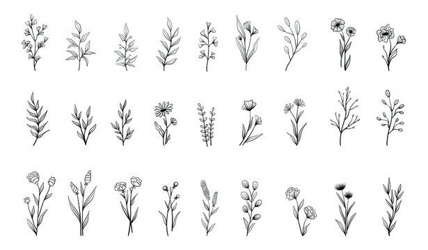 Set of vector vintage floral elements. Cute set of doodle frames and borders. Elements flowers, branches, swashes and flourishes	
