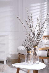 Glass vases with pussy willow tree branches on table near armchair in room