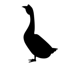 canadian goose vector illustration, flat style , side