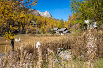 Claree Valley with larch trees in full Autumn colors and the famous Main de Crepin peak. Cerces...