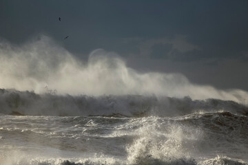 Sea wave spray