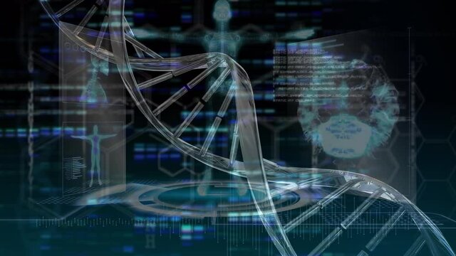 Animation of human brain, dna strand spinning and data processing