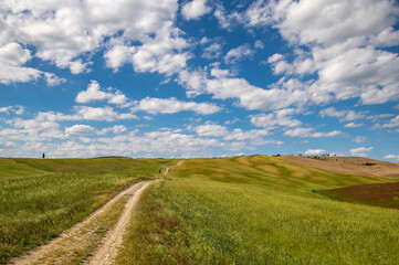 Fototapeta na wymiar Scenic View Of Field In Tuscany with sky and clouds. Agricultural fields in Val d'Orcia, green hills, flowery meadows, the country road to San Quirico d'Orcia Siena, Monte Amiata and near Umbria Italy