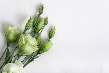 Fresh green colors on a natural stone table, white marble background with copy space, flat lay, top view.