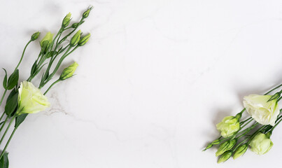 Fresh green colors on a natural stone table, white marble background with copy space, flat lay, top view.