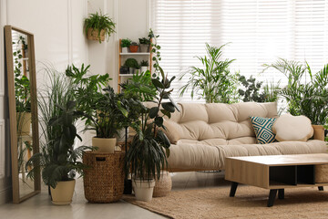 Fototapeta na wymiar Stylish room interior with comfortable sofa and beautiful potted plants. Lounge zone