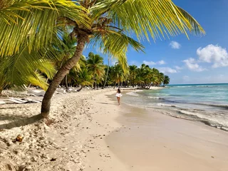 Foto auf Alu-Dibond palm tree on the beach © Nataliia