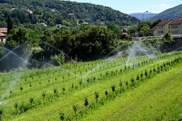 automatic watering system in south of France