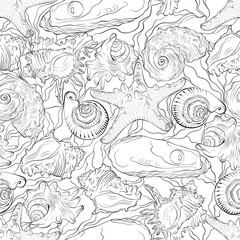 Marine seamless pattern from hand drawn spiral spiked sea shells and starfish with waves. Nautical vector pattern in line art style isolated on white. Wallpaper, wrapping paper, textile design