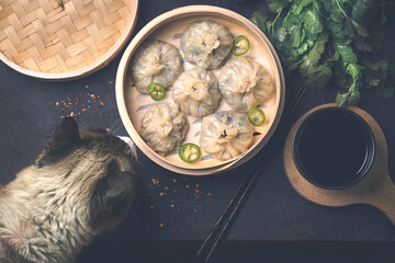 The cat looks at homemade chinese and korean dumplings dim sum served on the traditional steamer bamboo box  with soy sauce, dark key, top view