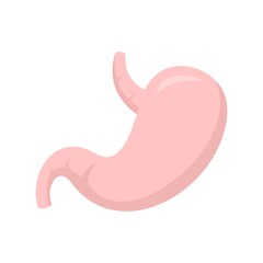 Healthy stomach icon flat isolated vector