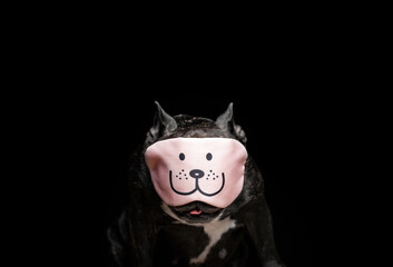 image of dog mask dark background 