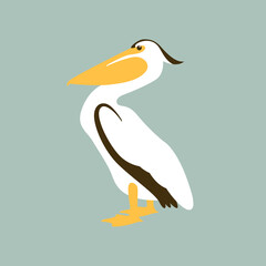 pelican vector illustration, flat style, side