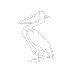 pelican vector illustration,  lining draw  side