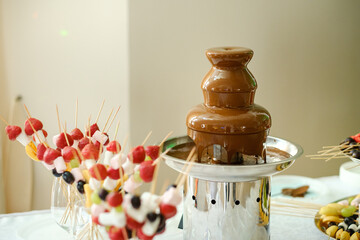Fondue with a chocolate fountain and sweets for it.Sweet theme