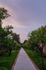 Kemer, ANTALYA, TURKEY- MAY 2021: Palms and flowers near pool in hotel Pirate's Beach Club at sunset, Turkey.