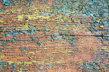 Background is made of old wooden boards with cracked paint in orange blue and yellow